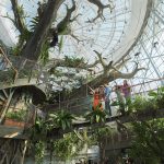 Dubai Economy & Turism