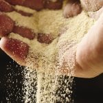 Professional Food Photography